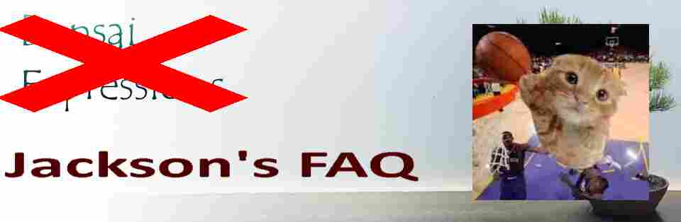 A banner image with Bonsai Expressions crossed out and Jackson's FAQ is in place below it, with a picture of a cat doing a slam dunk.